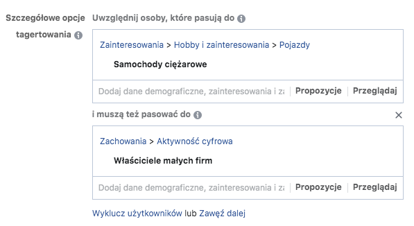 szczegółowe targetowanie